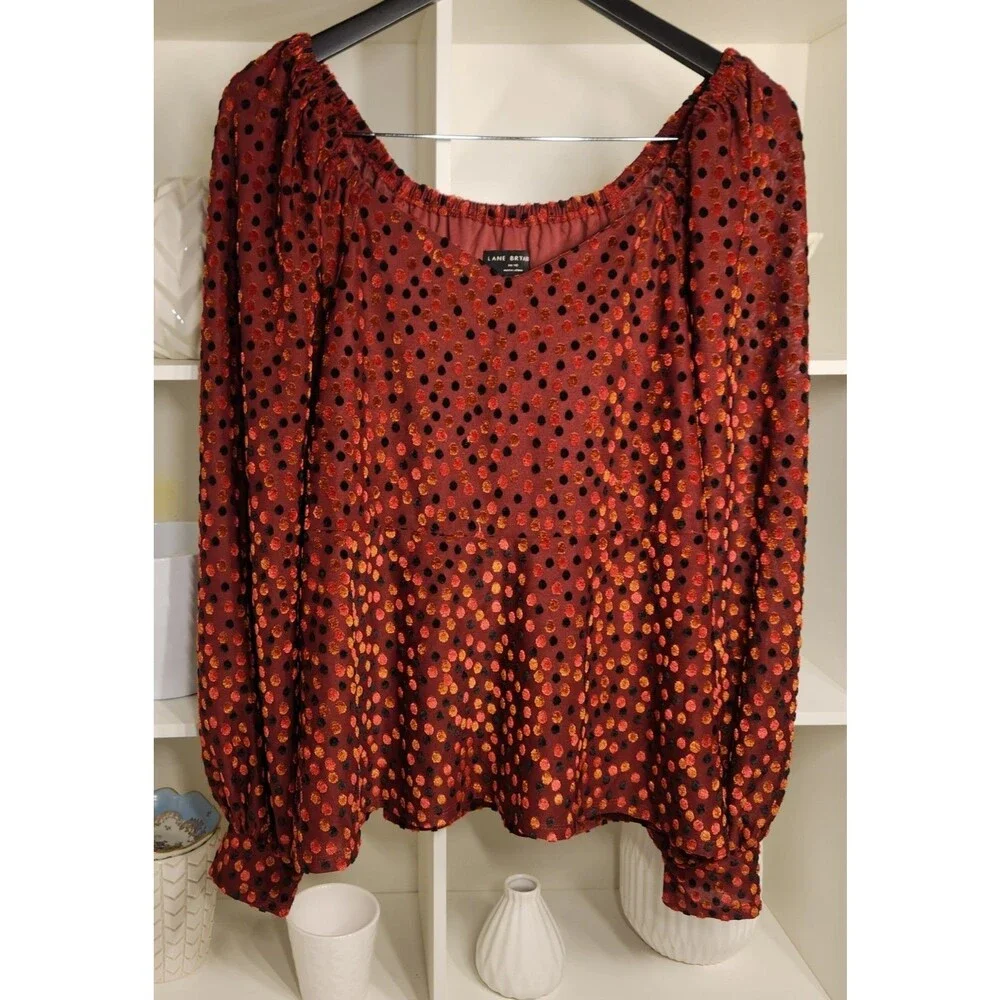 Babydoll Velvet Top Last Letter Burnout Blouson Sleeves Sz 14 Lane Bryant - Picture 15 of 16